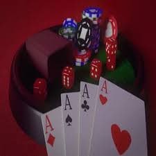 piloto bet